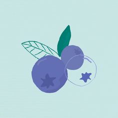 an illustration of blueberries with leaves and star shapes on them, against a light blue background