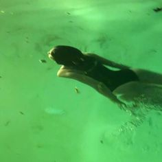 a woman in a black swimsuit swimming under water