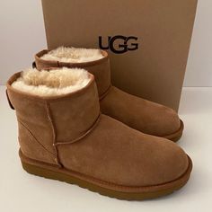 UGG Classic Mini Boots Chestnut 7 Ugg Classic Mini Boot, Ugh Boots, Mini Boots, Winter Leather Boots, Waterproof Winter Boots