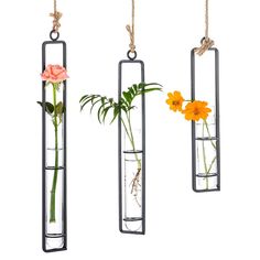 three hanging vases with flowers in them