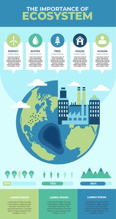 an info poster showing the different types of water and air pollution in the earth's atmosphere