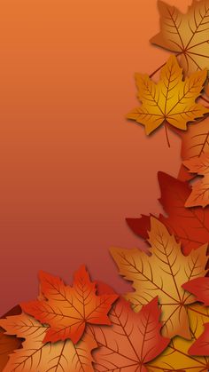 an image of fall leaves on a red and orange background with place for your text