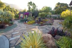 a garden with lots of plants and rocks