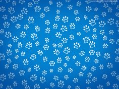 white dog paw prints on blue background