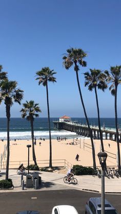 the beach is lined with palm trees and parked cars