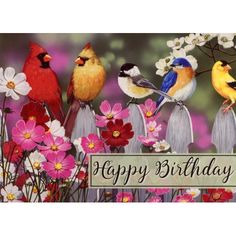 a birthday card with birds on a fence and flowers in the foreground that says happy birthday