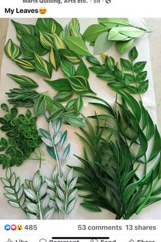 some green plants and leaves are on a table with an instagram post about them