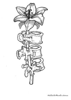 a drawing of a flower with ribbons around it