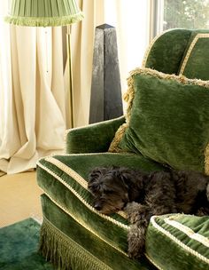 a black dog laying on top of a green chair in a living room next to a window