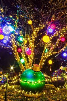 colorful lights decorate the trees and shrubs in this garden at night time, with an assortment of ornaments on each planter