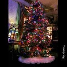 a brightly lit christmas tree in a living room