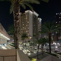 palm trees and buildings at night in the city