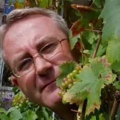 a man with glasses is holding grapes up to his face in front of some green leaves