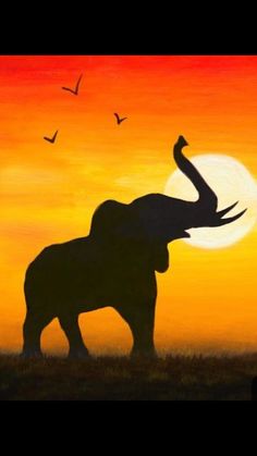 an elephant with its trunk in the air and birds flying above it at sunset or dawn