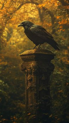 a large black bird sitting on top of a stone pillar