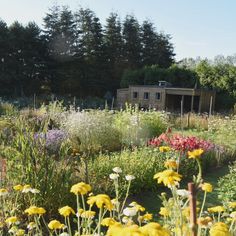 a garden filled with lots of flowers next to a wooden structure in the middle of trees