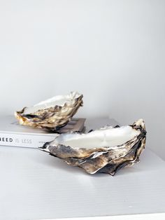 two oysters sitting on top of a white table next to a book and glass vase