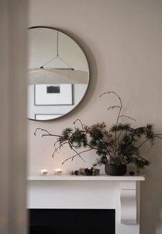 a fireplace with a mirror above it and plants on the mantel in front of it