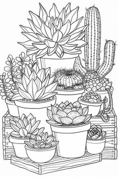 a bunch of potted plants sitting on top of a wooden shelf with succulents and cacti