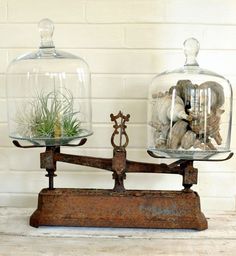 two glass cloches with plants in them on top of a metal stand next to a brick wall