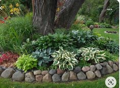 a garden with rocks, plants and trees in the background is shown on this lawn