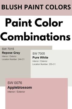 an advertisement for paint color combinations in pink and grey colors with the words, brush paint colors