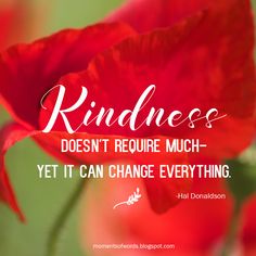 a red flower with the words kindness doesn't require much - yet it can change everything