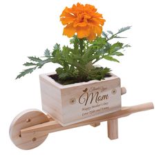 a wooden wheelbarrow with a plant in it that says, miss clark thank you for helping me grow