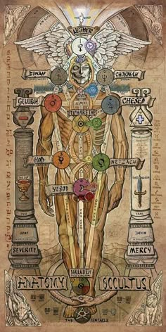 an image of the human body with many symbols on it