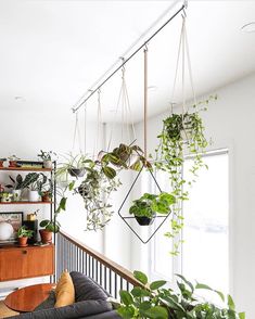 some plants are hanging from the ceiling in a room with white walls and wooden railings