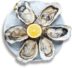 oysters on ice with a lemon slice in the middle