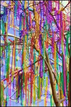 colorful beads hang from the branches of a tree