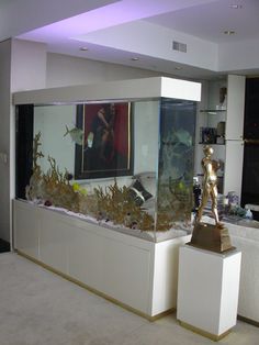 a fish tank filled with lots of different types of plants and animals in it's display area