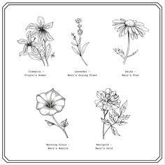 four different types of wildflowers are shown in this black and white drawing technique