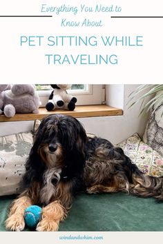 a black and brown dog laying on top of a bed next to a stuffed animal