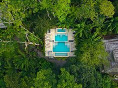 an aerial view of a swimming pool surrounded by lush green trees and shrubs in the jungle