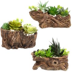 three wooden planters with succulents and plants in them on white background