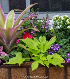 a planter filled with lots of different types of flowers and plants next to a window