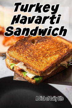 a grilled sandwich sitting on top of a black plate with the words turkey havarti sandwich