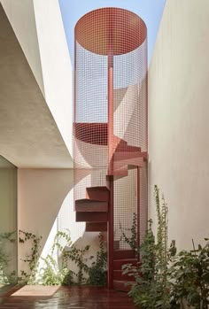 a spiral staircase in the middle of a building with plants growing on it's sides