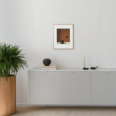 a plant is sitting on top of a cabinet in a room with white walls and wood floors