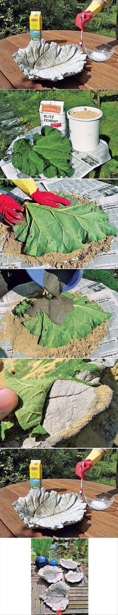 several different pictures of green plants and water