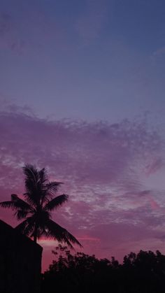 the silhouette of a palm tree against a purple sky with clouds in the foreground