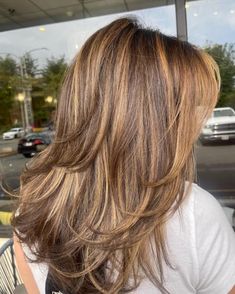 Harsh Highlights Hair, Light Brown Hair Color With Blonde Highlights, Hair With Depth, Light Layered Hair, Hair With Highlights And Layers, Honey Hair Highlights, Layered Highlighted Hair, Layered Haircut With Highlights, Light Brown Hair With Red Highlights