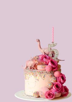 a birthday cake with pink frosting and sprinkles, topped with an ostrich figurine