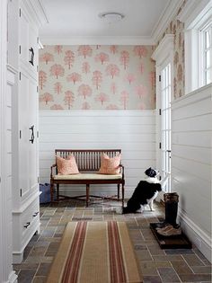 a black and white dog sitting on the floor in front of a door with pink wallpaper