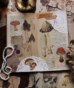 an open book with mushrooms and laces on the pages, surrounded by other items