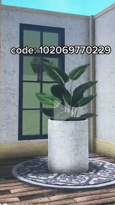 a potted plant sitting on top of a wooden table in front of a window