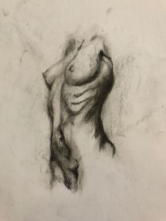 a black and white drawing of a woman's torso