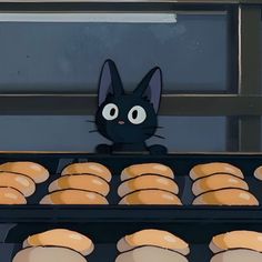 a black cat sitting in front of some donuts